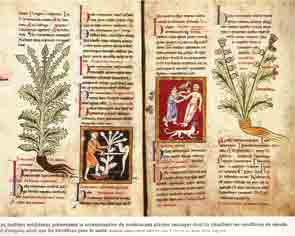 Archives à compiler